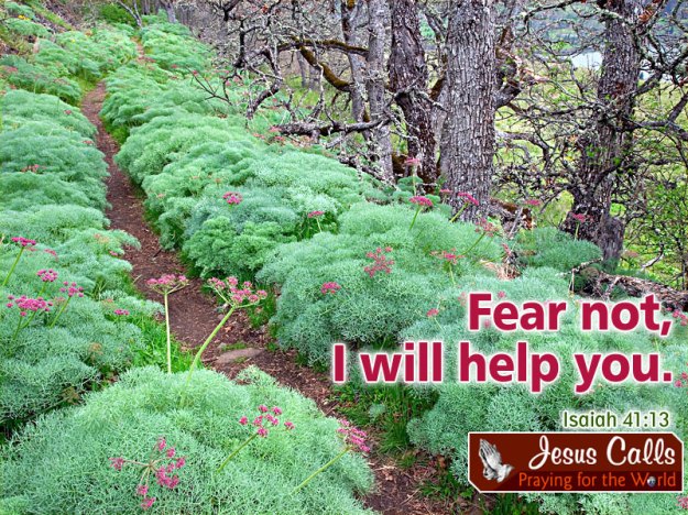 fear not i will help you